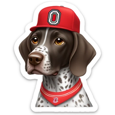 German shorthaired pointer with a Ohio state hat sticker