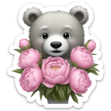 realistic-grey-bear-hugging-Bouquet-of-peonies sticker