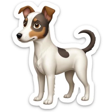 a full body large white floppy eared parson russell looking dog the size of a kelpie with light brown ears and a light brown patch on one eye and a large snout sticker