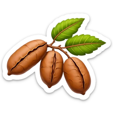 tamarind fruit with leaf sticker