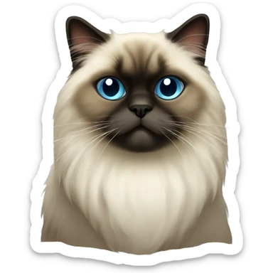 Himalayan cat without red heart sticker