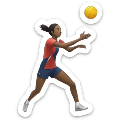 Volley sticker