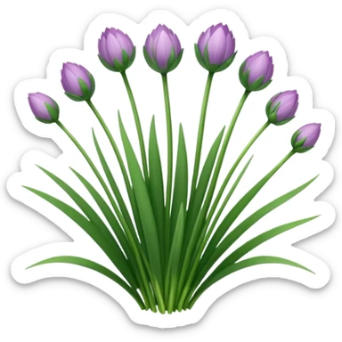 chives herb sticker