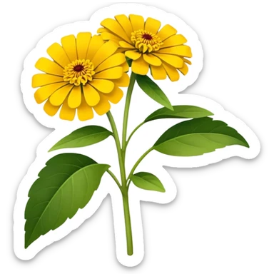 bouquet Yellow Zinnia, luxuriant, stem, leaf sticker