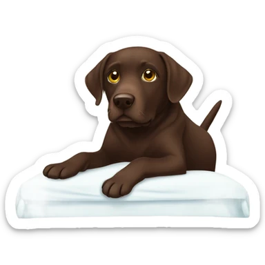 Chocolate Labrador on bed sticker