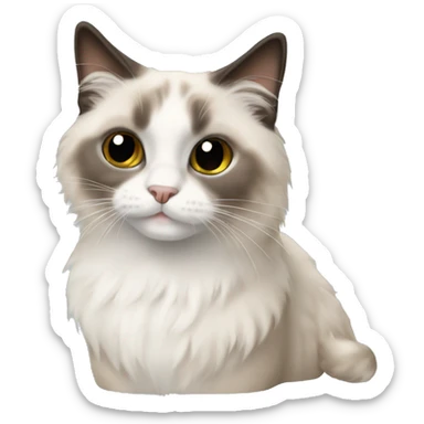 Ragdoll cat sticker