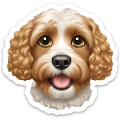 Cavapoo  sticker