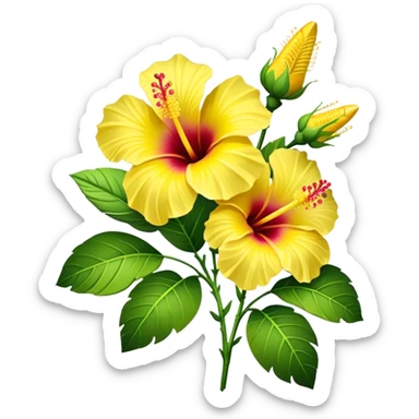 bouquet yellow Hawaiian hibiscus, luxuriant, stem, leaf, bud sticker