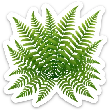 A cluster of soft green ferns growing under shaded trees. sticker