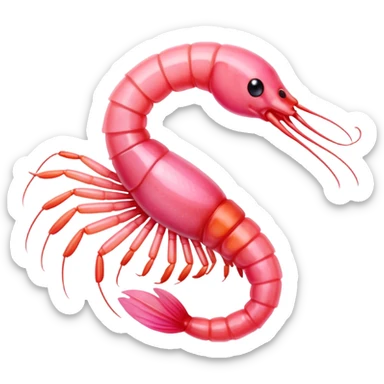 Sugar shrimp sticker