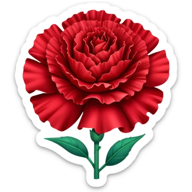 Red carnation sticker