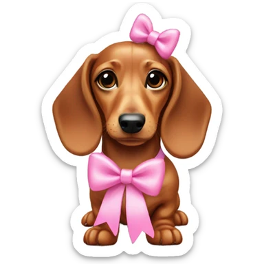 Miniature dachshund wearing a pink bow sticker
