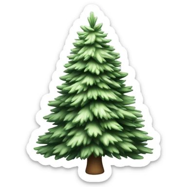  actual white fir christmas tree isolated.  sticker