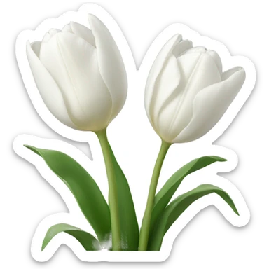 white tulips sticker