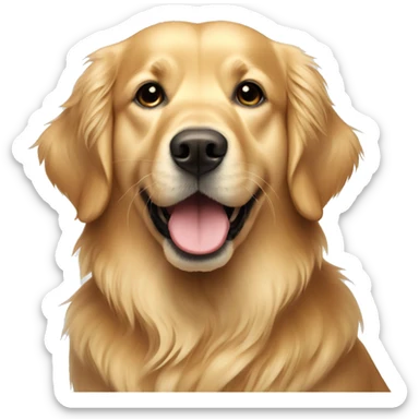 Golden retriever  sticker