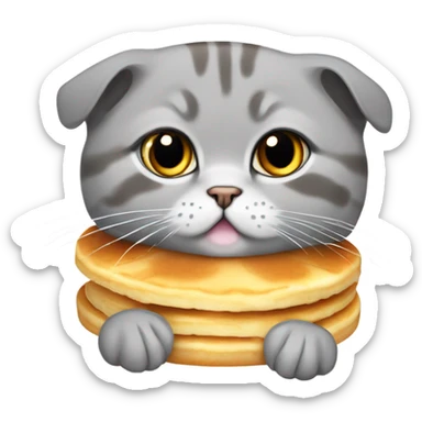 a grey scottish fold cat with a pancake on its head sticker