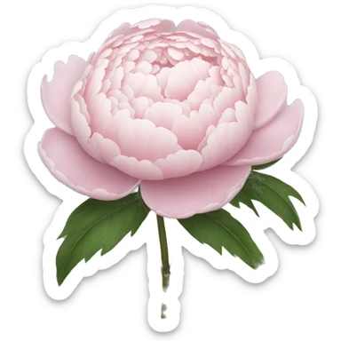 Pale pink peony bouquet sticker