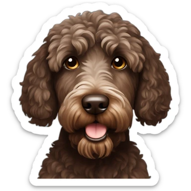 Dark brown Australian labradoodle sticker
