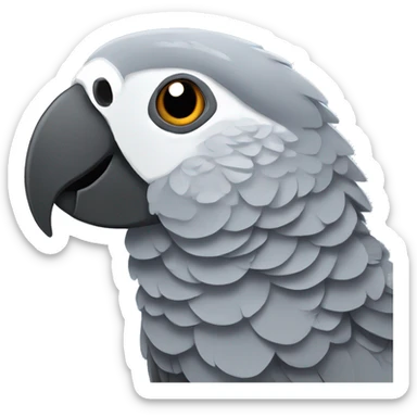 African grey parrot sticker
