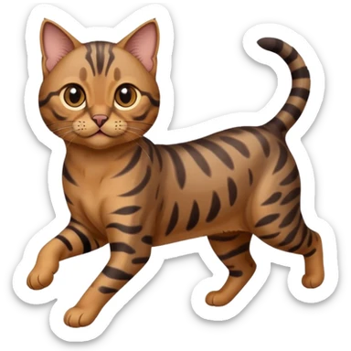 Cute dark grey and brown bengal cat running sticker