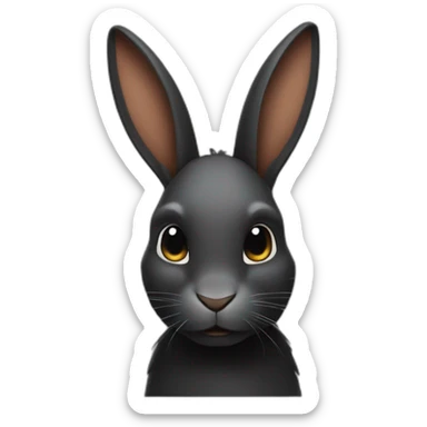 Lapin noir sticker