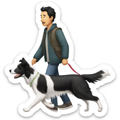 A Chinese man walking border collie sticker