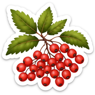 rowan/mountain ash berries, simple sticker