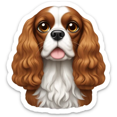 King Charles cavalier ￼￼ sticker