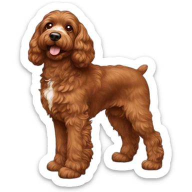 Reddish brown cockapoo from the side full body sticker