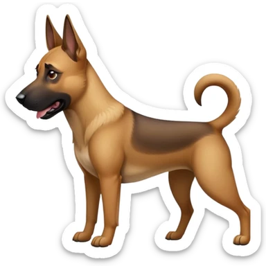 Malinois  sticker