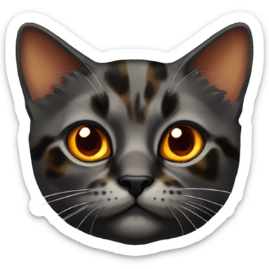 Tortoiseshell cat with orange eyes sticker
