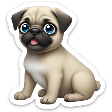 Baby pug with big blue eyes chewing a slipper sticker
