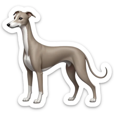Greyhound sticker