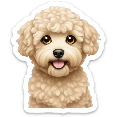 beige maltipoo sticker
