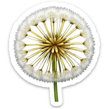 Dandelion flower emoji in white colour looks aesthetic edit better  sticker