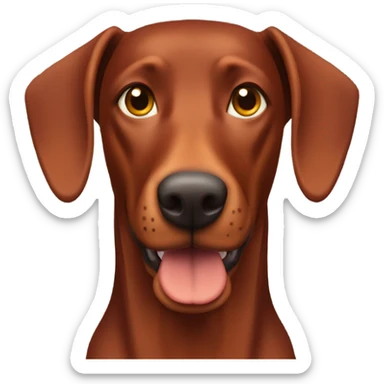 Red Doberman without cropped ears face facing front happy expression  sticker