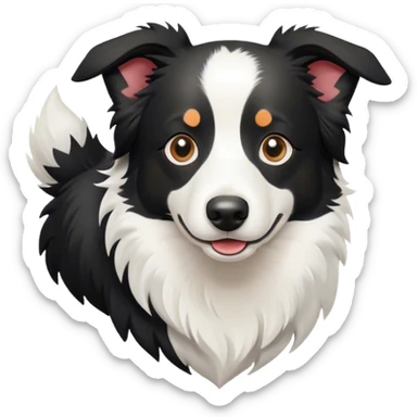 black and white border collie sticker