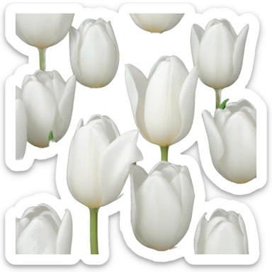 white tulip sticker