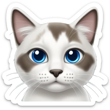 Snowshoe cat  sticker