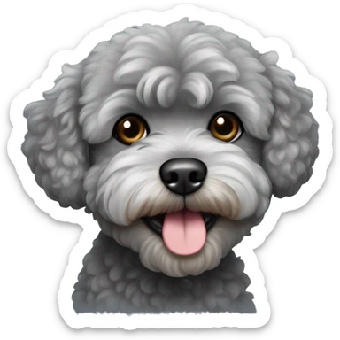 Dark gray maltipoo with light gray snout sticker