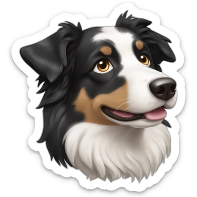 tricolor merle border-collie sticker