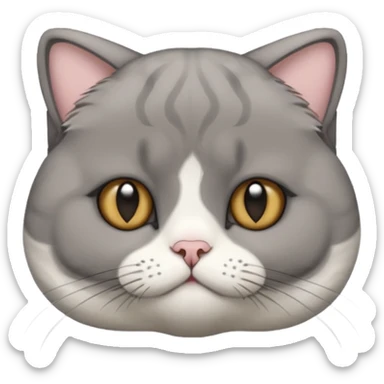 scottish fold cat with folded ears sticker