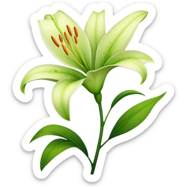 Lily flower stem sticker