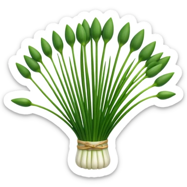 chives for chefs sticker