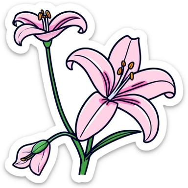 Delicate pink lily flower with soft petals and dark pink accents, decorative design sticker