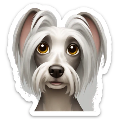 Chinese crested dog sticker