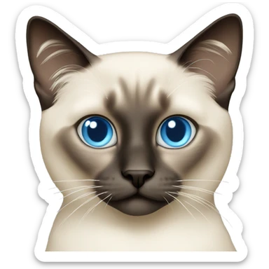 Long hair Siamese cat with light blue eyes sticker