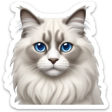 rag doll cat sticker