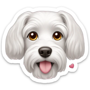  dog Maltese Face with a few hearts around her head sticker