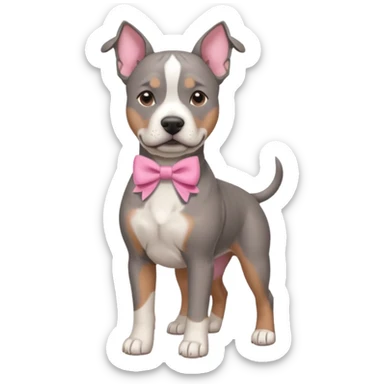 Grey amstaff with a pink bow sticker